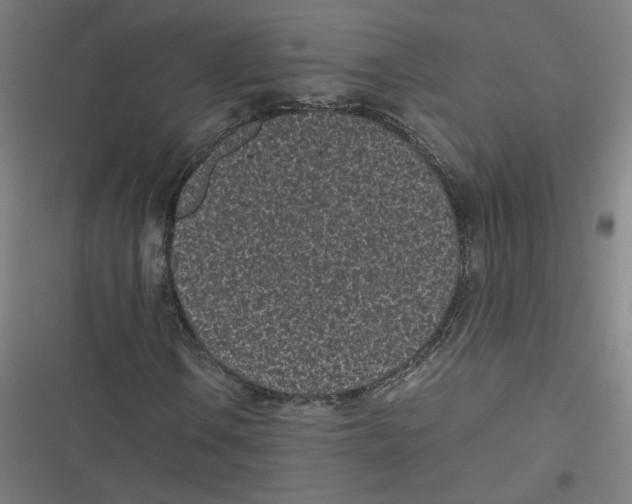 X0000116601106201001081144