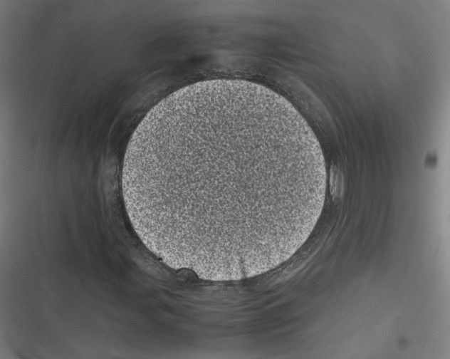 X0000116601107201001081144