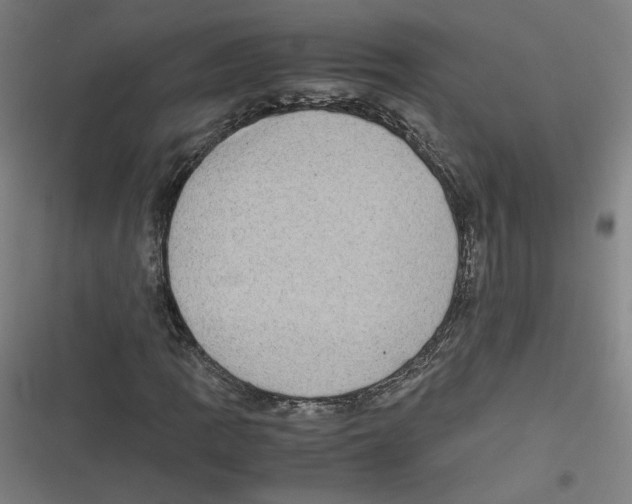 X0000116601109201001081144