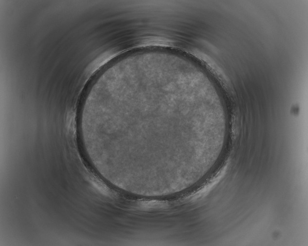 X0000116601113201001081144