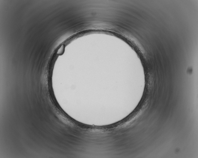 X0000116601114201001081144