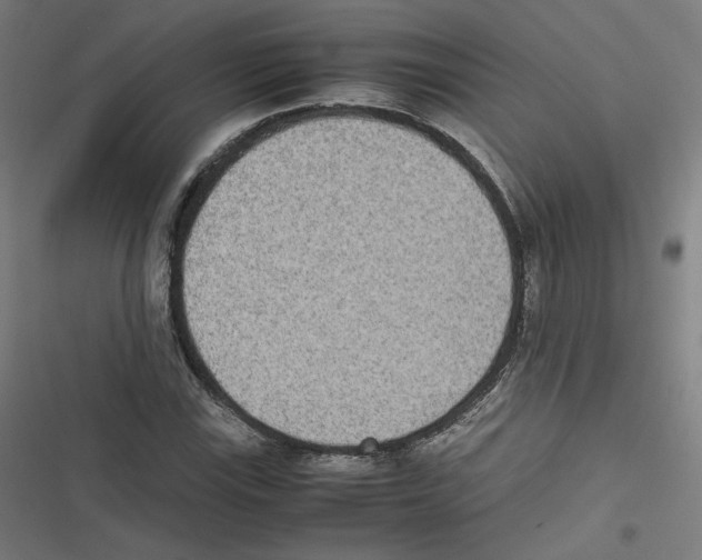 X0000116601115201001081144