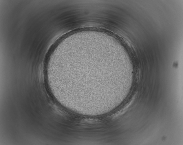 X0000116601117201001081144