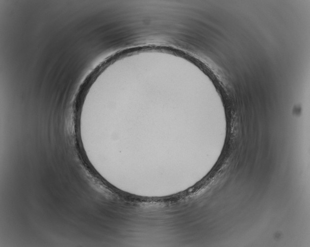 X0000116601118201001081144