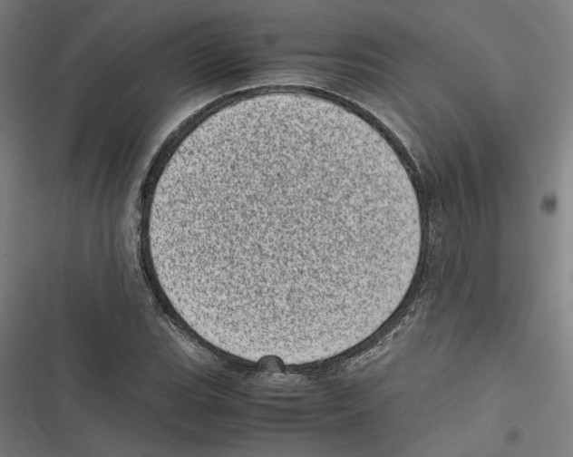 X0000116601119201001081144