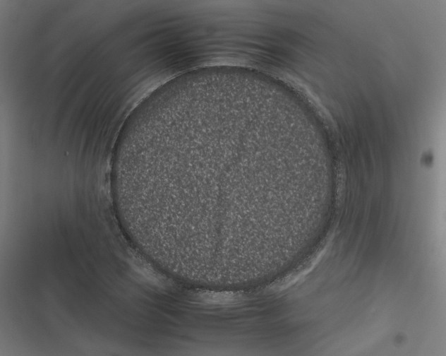 X0000116601121201001081144