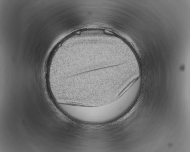 X0000116601122201001081144