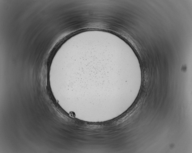 X0000116601123201001081144
