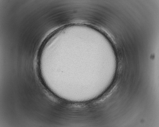X0000116601125201001081144
