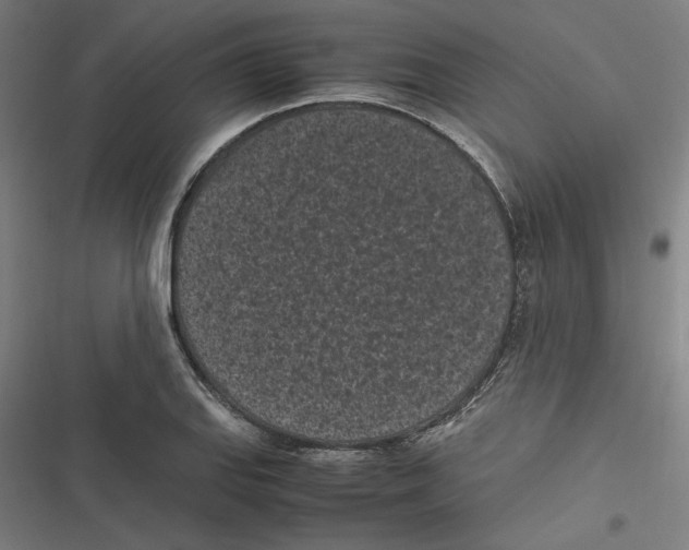 X0000116601127201001081144