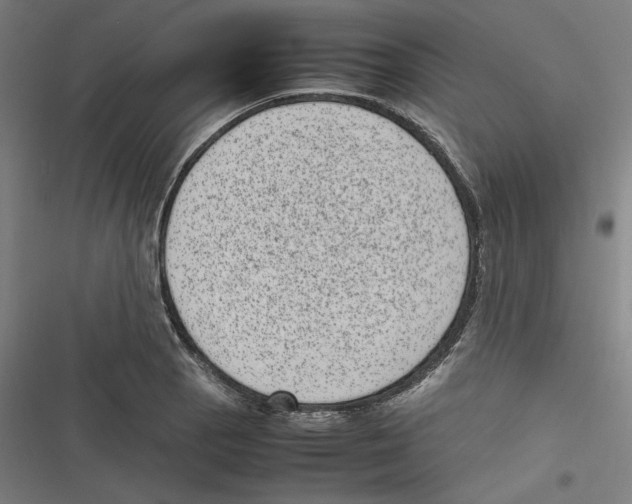 X0000116601129201001081144