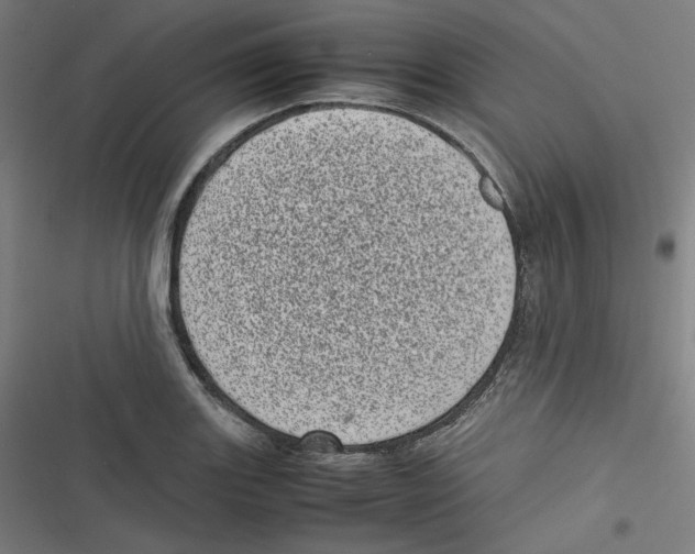 X0000116601131201001081144