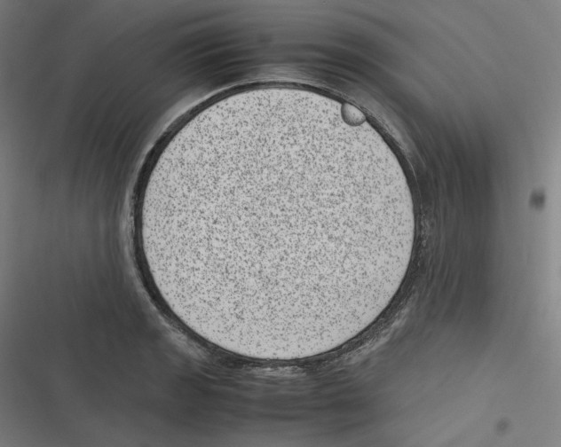 X0000116601133201001081144