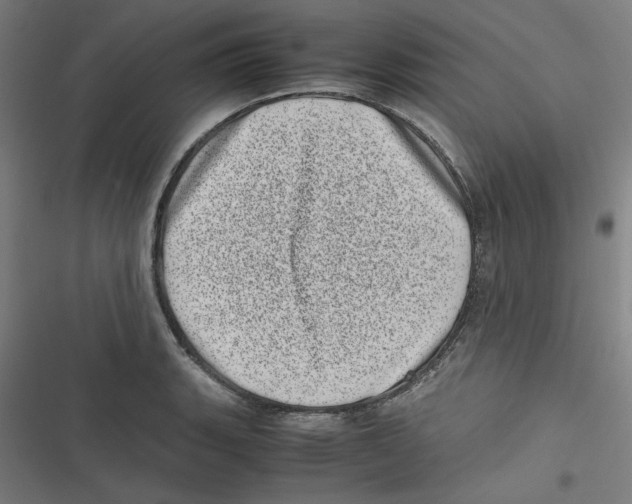 X0000116601135201001081144