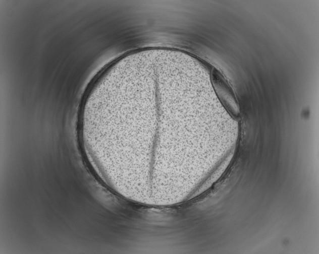 X0000116601138201001081144
