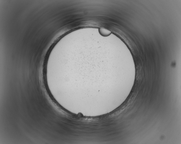 X0000116601139201001081144