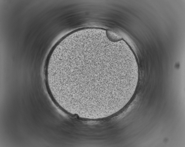 X0000116601141201001081144