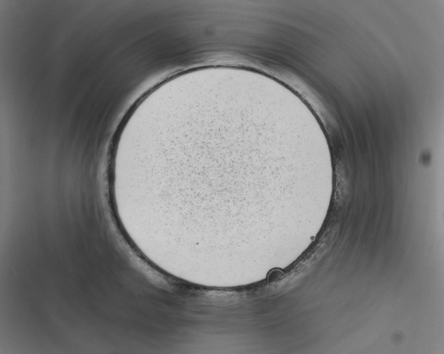 X0000116601142201001081144