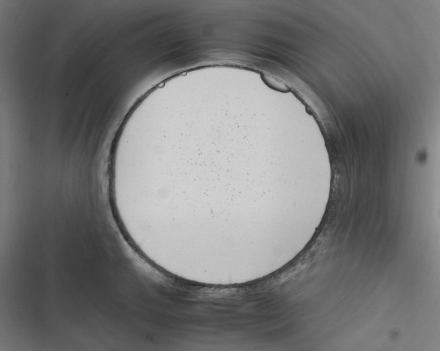 X0000116601143201001081144