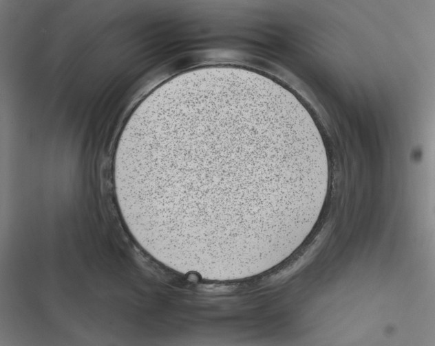 X0000116601145201001081144