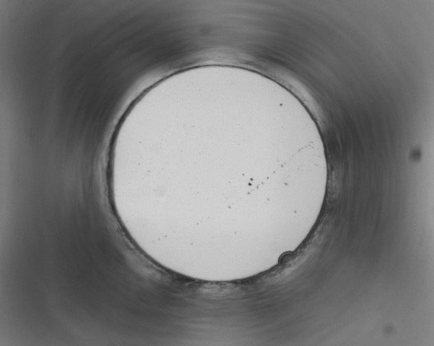 X0000116601146201001081144