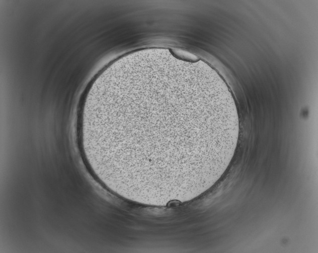 X0000116601147201001081144
