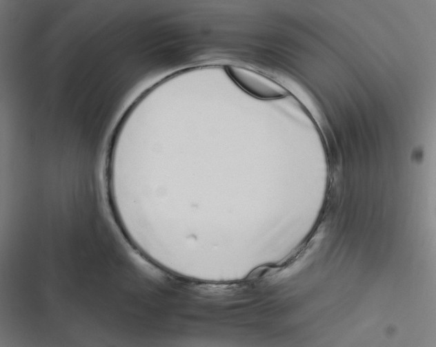 X0000116601149201001081144