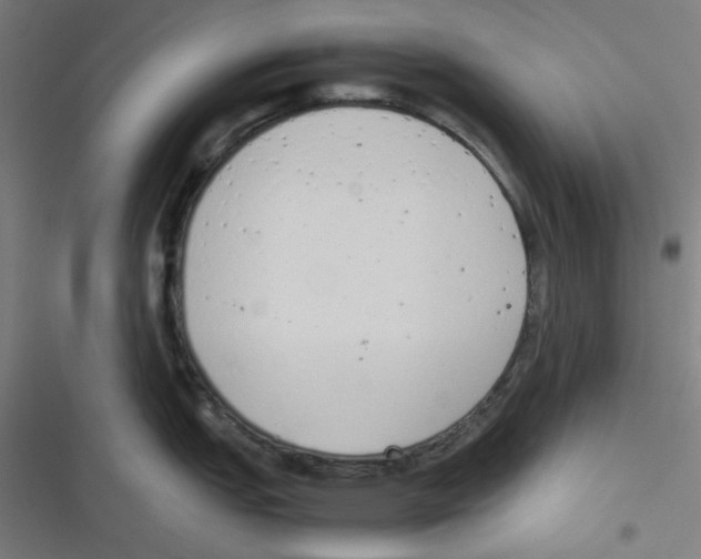 X0000116601151201001081144