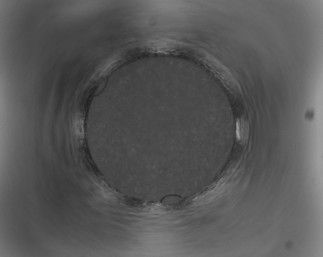 X0000116601155201001081143