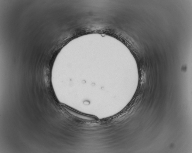 X0000116601156201001081143