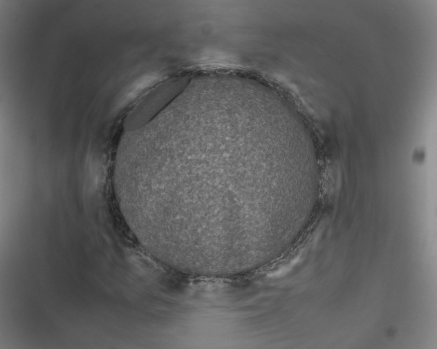 X0000116601157201001081143
