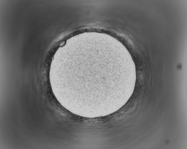 X0000116601159201001081143