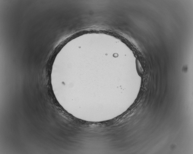 X0000116601160201001081143
