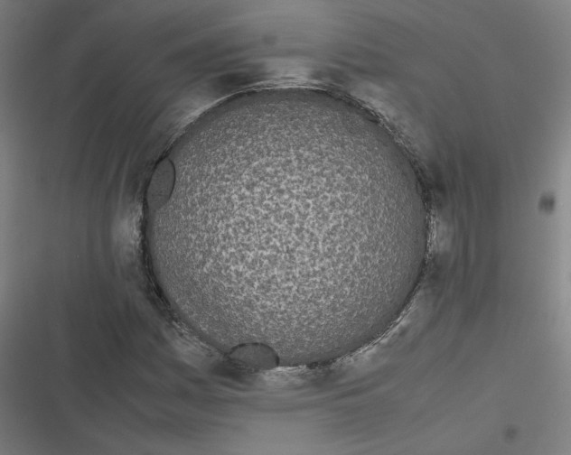 X0000116601161201001081143