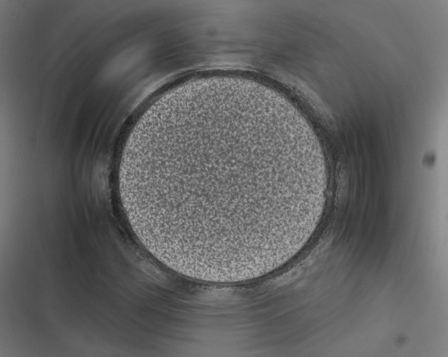 X0000116601162201001081143