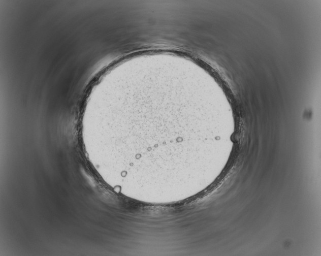 X0000116601163201001081143