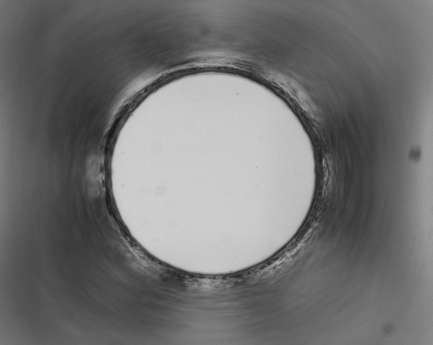 X0000116601164201001081143