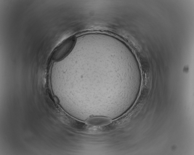 X0000116601165201001081143