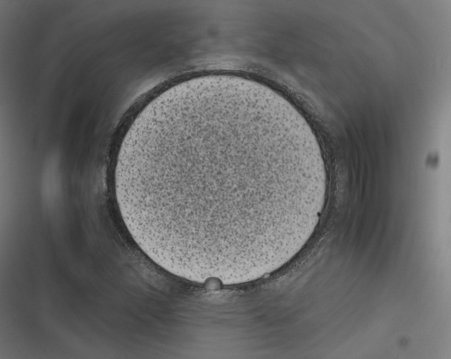 X0000116601166201001081143
