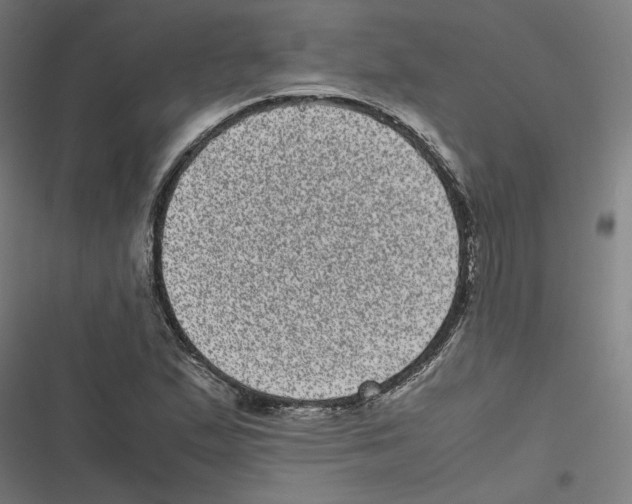 X0000116601167201001081143