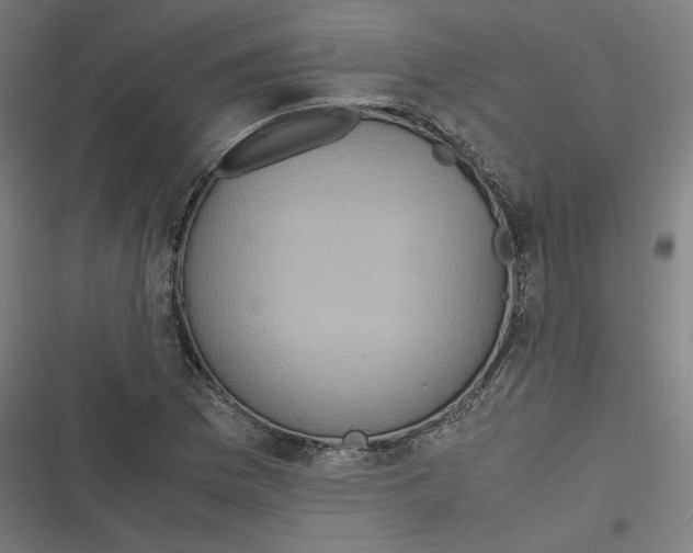 X0000116601169201001081143