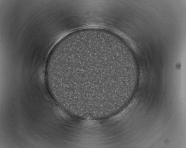 X0000116601170201001081143
