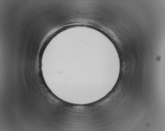 X0000116601172201001081143
