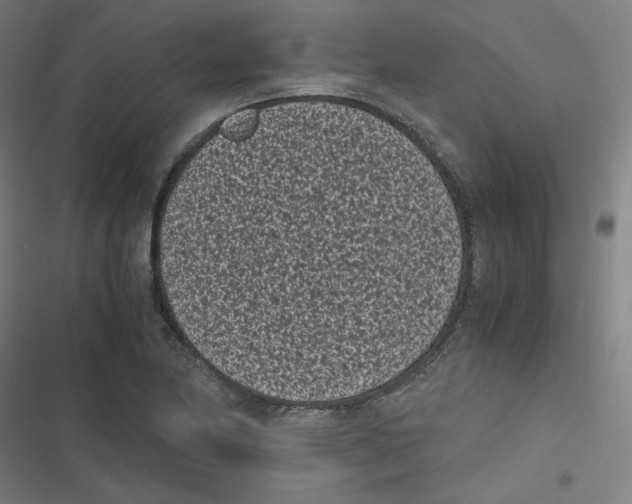 X0000116601174201001081143