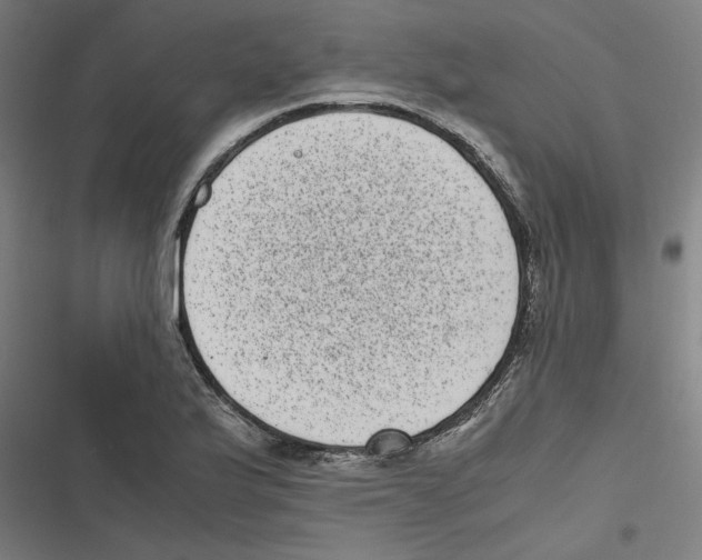 X0000116601175201001081143
