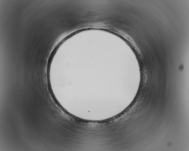 X0000116601176201001081143