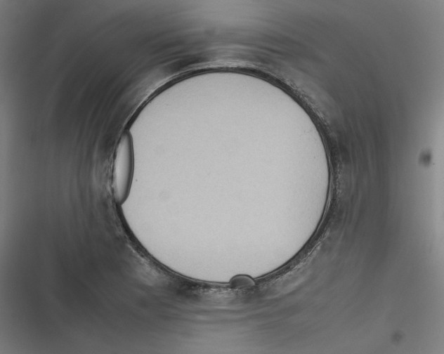 X0000116601177201001081143