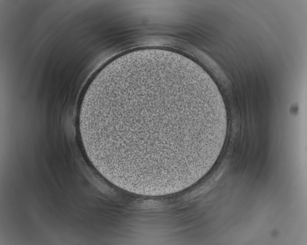 X0000116601178201001081143