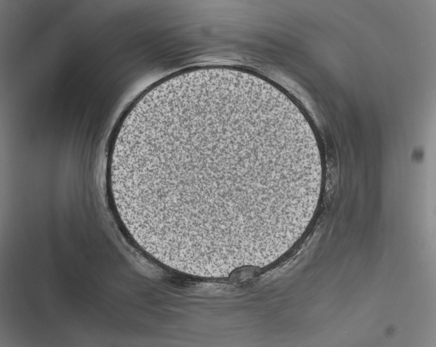X0000116601179201001081143