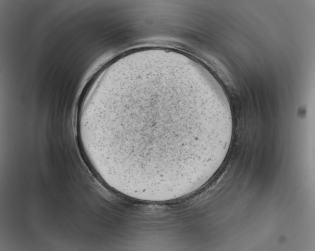 X0000116601180201001081143